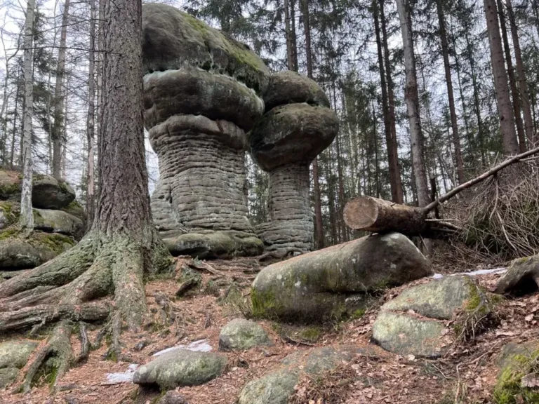 skalne grzyby – rezerwat przyrody 1