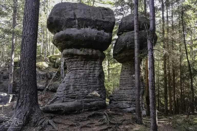 skalne grzyby – rezerwat przyrody 2